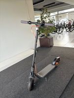 NINEBOT KICKSCOOTER F40D BY SEGWAY/// NEU Nordrhein-Westfalen - Bad Salzuflen Vorschau