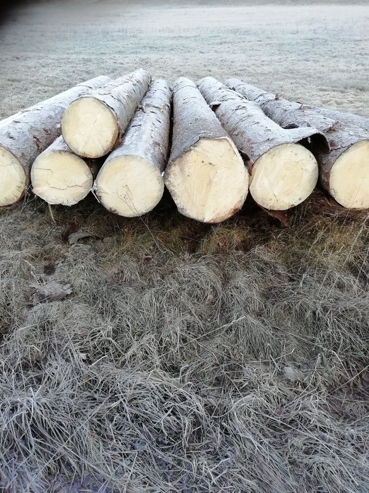 Stammholzverkauf und Holztransport inklusive Anlieferung in Sitzendorf