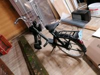 Velo Solex Sinfac S3800 Mofa Moped Niedersachsen - Menslage Vorschau