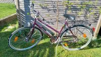 Epple Damen-Fahrrad Bayern - Grub a. Forst Vorschau