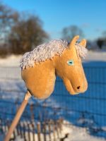 süßes Hobbyhorse Pony Schleswig-Holstein - Lasbek Vorschau