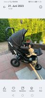 Kinderwagen Emmajunge Harburg - Hamburg Neugraben Vorschau