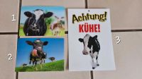 Kuh Postkarte und 1x Schild Nordrhein-Westfalen - Nordkirchen Vorschau