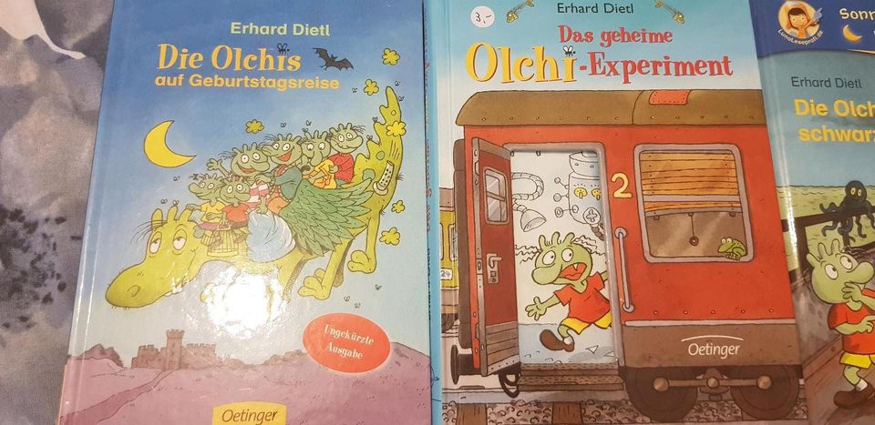 15 Bücher Kinderbücher Olchi, Pelle, Die drei ???, 1000 Gefahren in Rosengarten