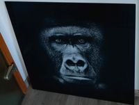 Glasbild Gorilla Nürnberg (Mittelfr) - Südoststadt Vorschau