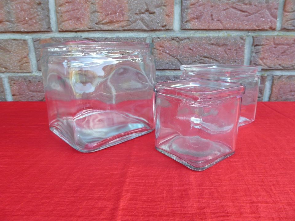 3er Glasvasen Set Transparent eckig Blumen-Vasen Behälter in 3 Gr in Flintbek