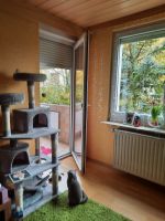 renovierungsbedürftige Wohnung mit Loggia Rheinland-Pfalz - Kaiserslautern Vorschau