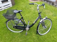 Gazelle arroyo c7+ Hollandrad Damenrad Fahrrad Nordrhein-Westfalen - Marl Vorschau