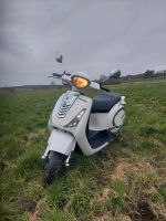 Verkaufe Explorer Motorroller Vendetta R Ride 50ccm Sachsen-Anhalt - Altenhausen Vorschau