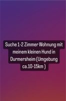 Suche dringend eine Wohnung mit kleinem Hund Baden-Württemberg - Durmersheim Vorschau