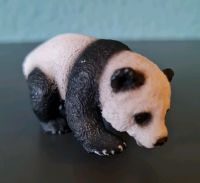 Schleich*Wild Life*Asien*Panda Brandenburg - Kleinmachnow Vorschau