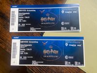 Harry Potter: Die Ausstellung in München 2 TICKETS Nürnberg (Mittelfr) - Südstadt Vorschau