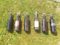 Bierflaschen,Bügelflasche,1 Liter,Tölzerbier,Haidbräu,Ammergauer Bayern - Fürstenfeldbruck Vorschau