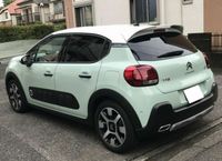 Dachspoiler für Citroen C3 Mk3 Heckspoiler Spoiler Flügel Baden-Württemberg - Neidlingen Vorschau