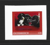 Österreich PM 8146313 (2023) Havanese Gino, 1. Marke Güstrow - Landkreis - Bützow Vorschau