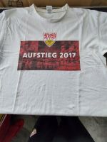 VfB Short Aufsteiger 2017 Baden-Württemberg - Bad Liebenzell Vorschau