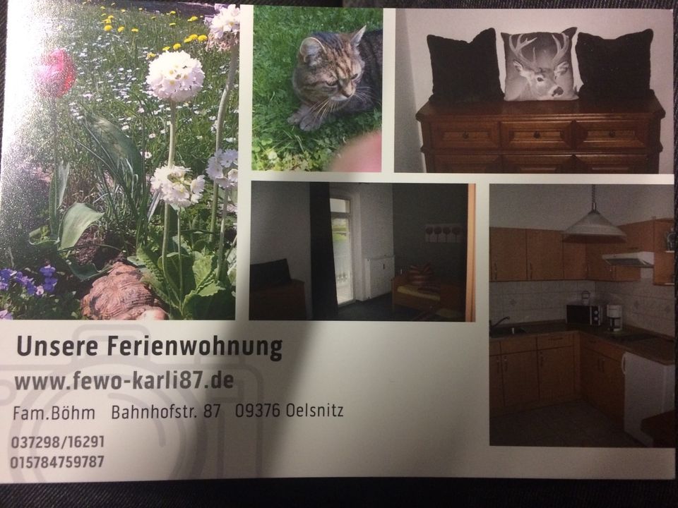 Ferienwohnung 09376 Oelsnitz Unterkunft/Zimmer in Oelsnitz/Erzgeb.