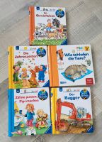 5 Kinderbücher Wieso Weshalb Warum, frag doch mal die Maus Dresden - Dresden-Plauen Vorschau