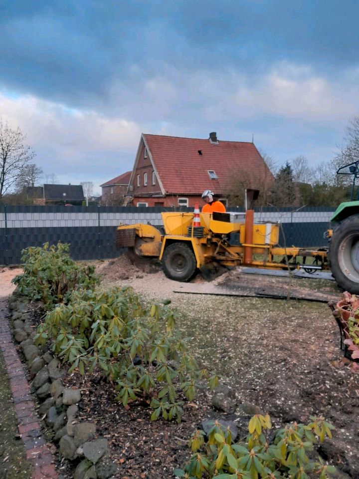 Stubbenfräsen Wurzelfräsen in Hammah