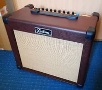 Kustom Sienna 30 PRO Gitarrenverstärker 30 Watt Sachsen-Anhalt - Hansestadt Seehausen Vorschau