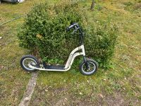 Kinder scooter Müritz - Landkreis - Rechlin Vorschau