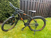 MTB Morrison XM 5.0 Diamant 29 Niedersachsen - Großheide Vorschau