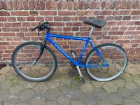 Mountenbike 26 Zoll Nordrhein-Westfalen - Herne Vorschau