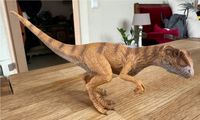 Schleich Allosaurus Dino Dinosaurier Nordrhein-Westfalen - Wetter (Ruhr) Vorschau