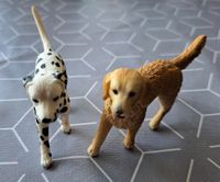 Schleich - Set mit 2 Hunden Nordrhein-Westfalen - Siegen Vorschau