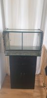 Dendrobaten Terterrarium 60×40×40cm mit Unterschrank und Technik Nordrhein-Westfalen - Reichshof Vorschau