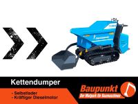 Minidumper Dumper Kettendumper Miete Vermietung Nordrhein-Westfalen - Detmold Vorschau