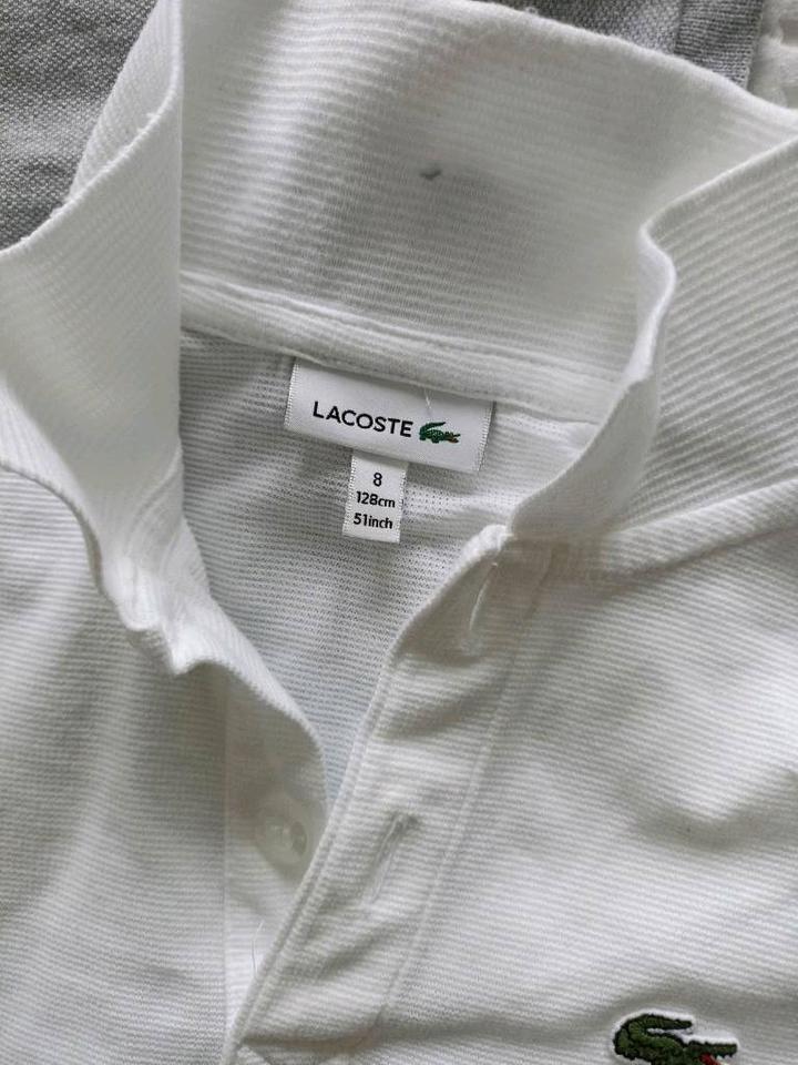 Kinder Polo-Shirt von Ralph Lauren, Lacoste 116,128,134,140 in München