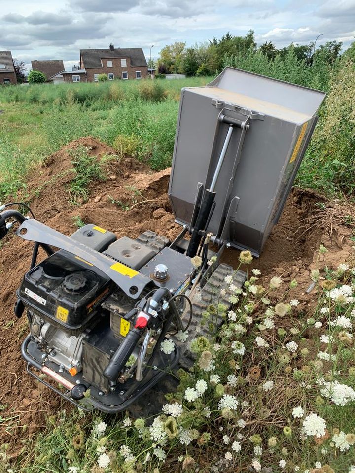 Motorschubkarre, Dumper, Kettendumper, in Euskirchen