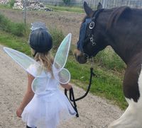 Kindergeburtstag mit Pony,  Ponyführen , Ponyreiten Niedersachsen - Artlenburg Vorschau