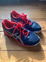 Neuwertige Asics Turnschuhe Hallenturnschuhe Sneaker Gr. 40,5 Hessen - Wiesbaden Vorschau