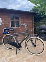 Gazelle Holland Rad  Pure NL Nordrhein-Westfalen - Gladbeck Vorschau