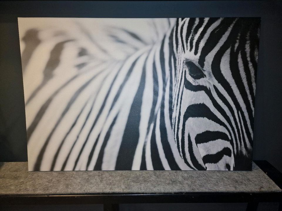IKEA Zebra Bild gross  78 x 118 cm in Bielefeld