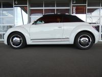 VW Beetle Cabrio Weiss 105 PS Nordrhein-Westfalen - Rheine Vorschau