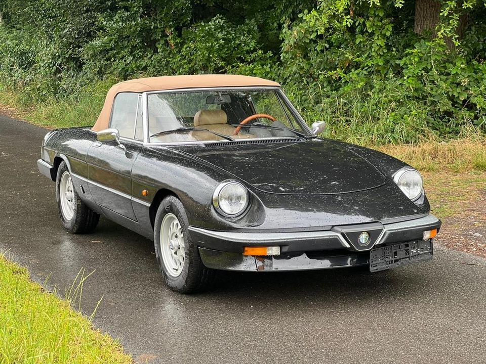 Alfa Romeo Spider 2.0 Oldtimer in Wuppertal