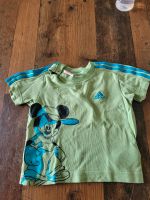 Adidas Tshirt baby Größe 80 Nordrhein-Westfalen - Moers Vorschau