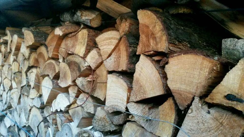 Brennholz trockenes oder frisches Holz Kiefer Birke Robinie Eiche in Elsterheide