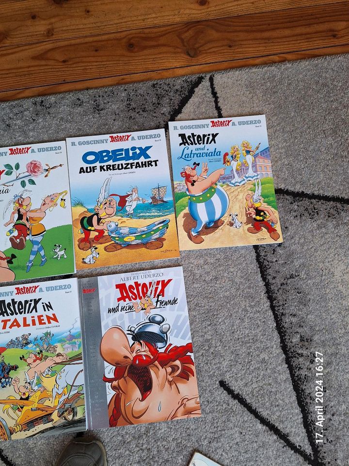 13 Asterixbücher in St. Wendel