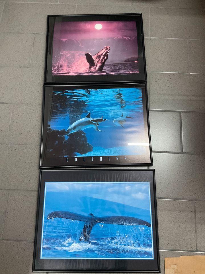 Bilderrahmen Bilder Wal Delphin in Mendig