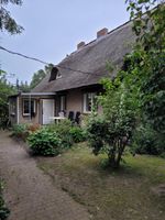 Reetdachhaus mit Weitblick in idyllischer Lage bei Anklam Mecklenburg-Vorpommern - Ducherow Vorschau