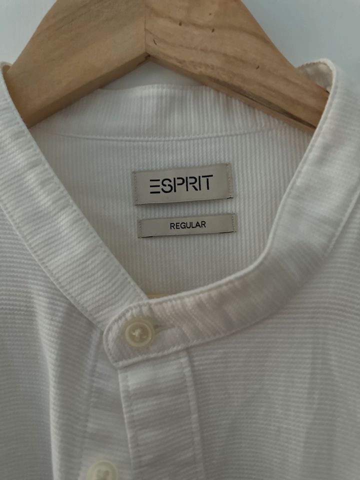 Esprit Hemd Neu XL in Gernsheim 