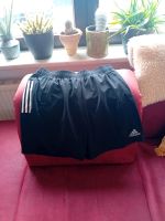 Shorts von Adidas Nordrhein-Westfalen - Nörvenich Vorschau