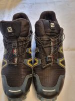 Schuhe Salomon Speedcross gr 45  Gebrauchte Nordrhein-Westfalen - Düren Vorschau