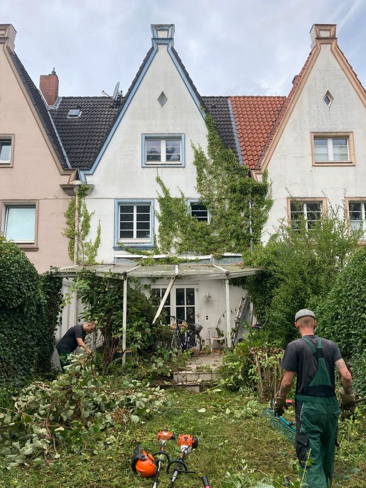 Gartenpflege Heckenschnitt Gärtner in Bielefeld