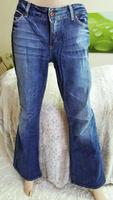 Blue Jeans Only Damen Größe 32 (44), regular/stretch bootcut Berlin - Steglitz Vorschau