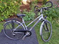 Trekkingrad Cittyrad Pegasus Milano GT, Silber 28 Zoll West - Nied Vorschau